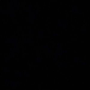 Meet your Posher, Kaitlyn